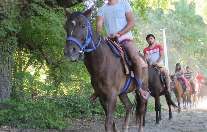 Istanbul Horse Riding