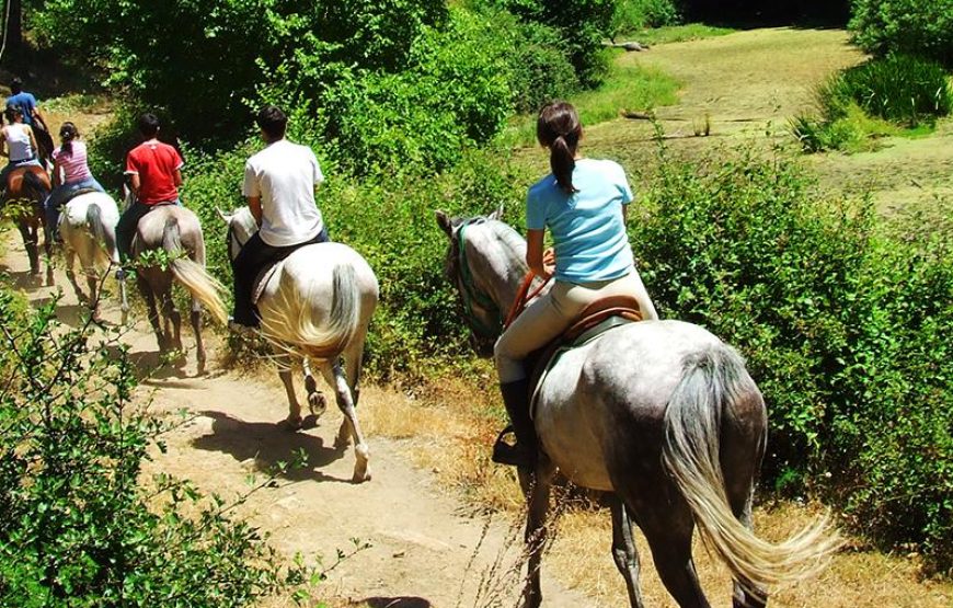Istanbul Horse Riding