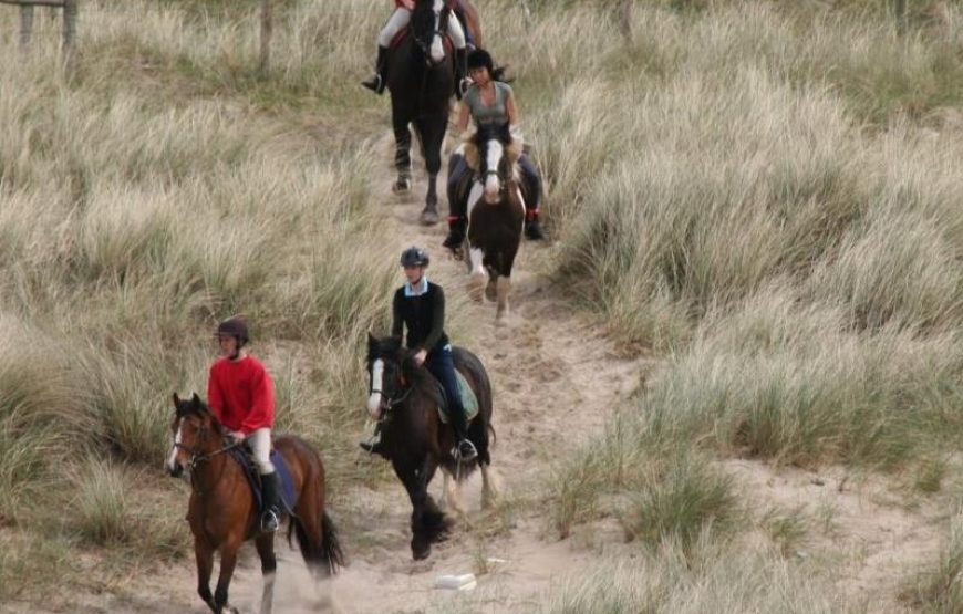 Istanbul Horse Riding