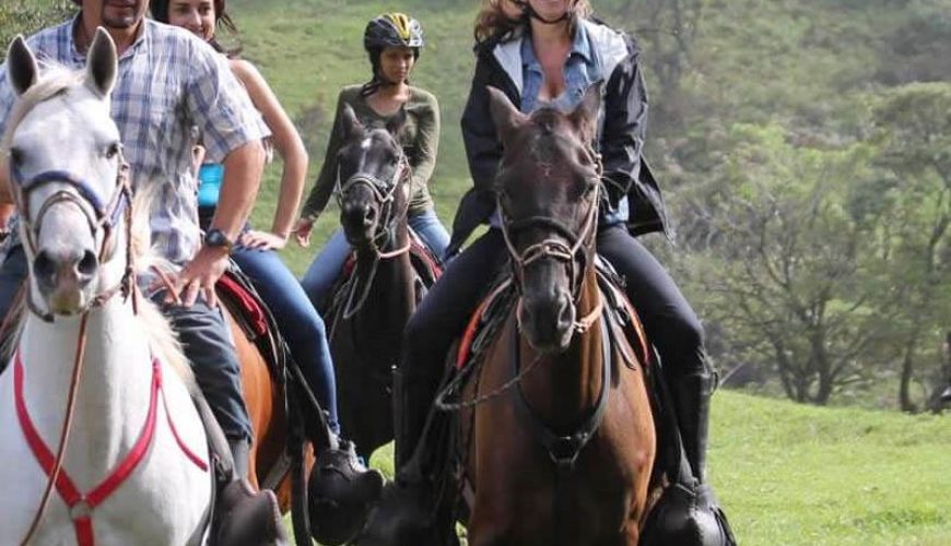 Aliway-Tour-Istanbul-Horse-Riding-06