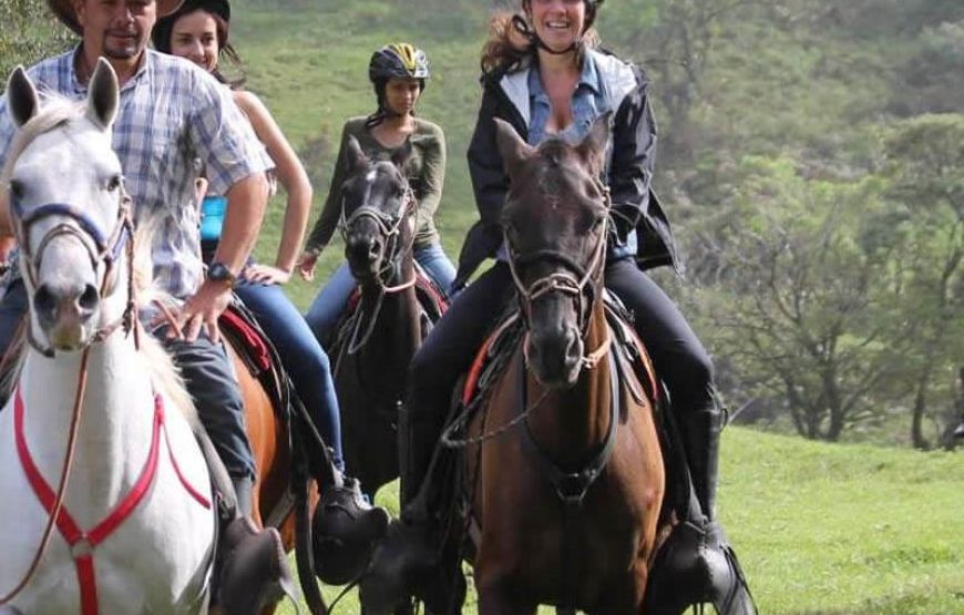 Istanbul Horse Riding