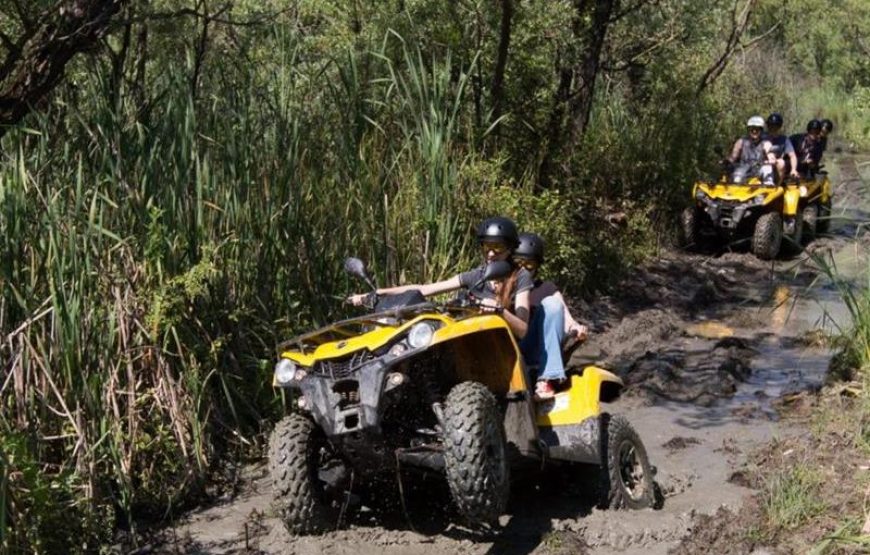 Istanbul Quad Safari