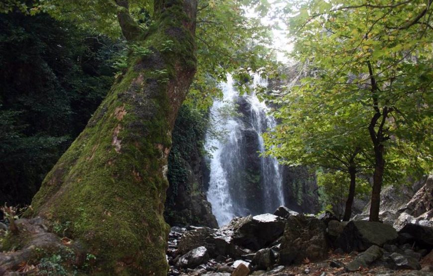 Yalova Tour From Istanbul