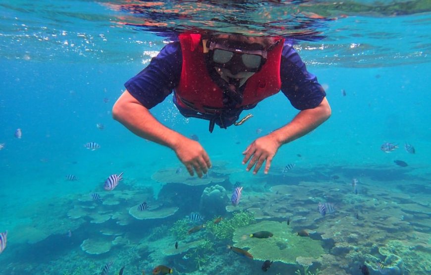 Marmaris Snorkelling Tour With Free Lunch & Equipments