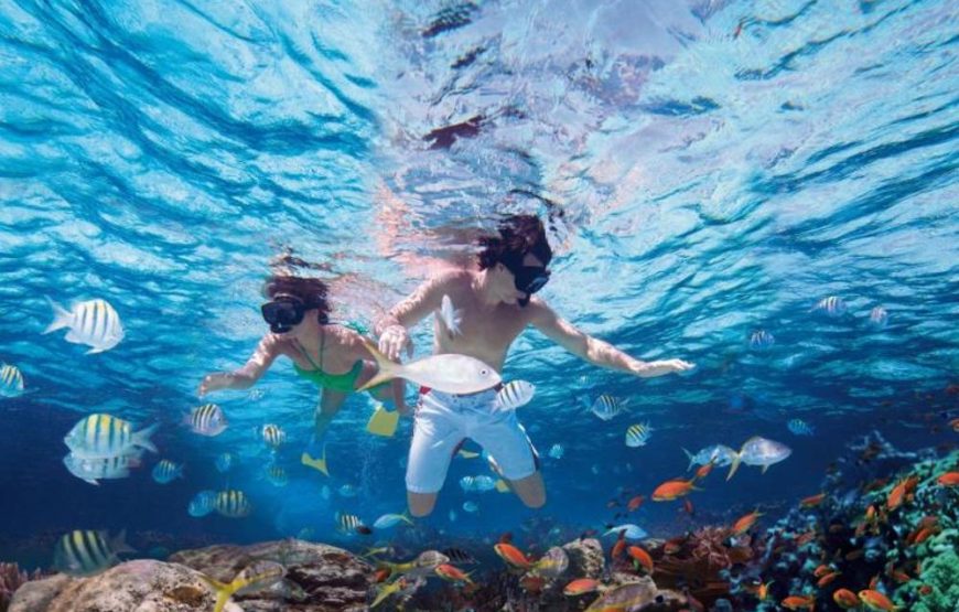 Marmaris Snorkelling Tour With Free Lunch & Equipments