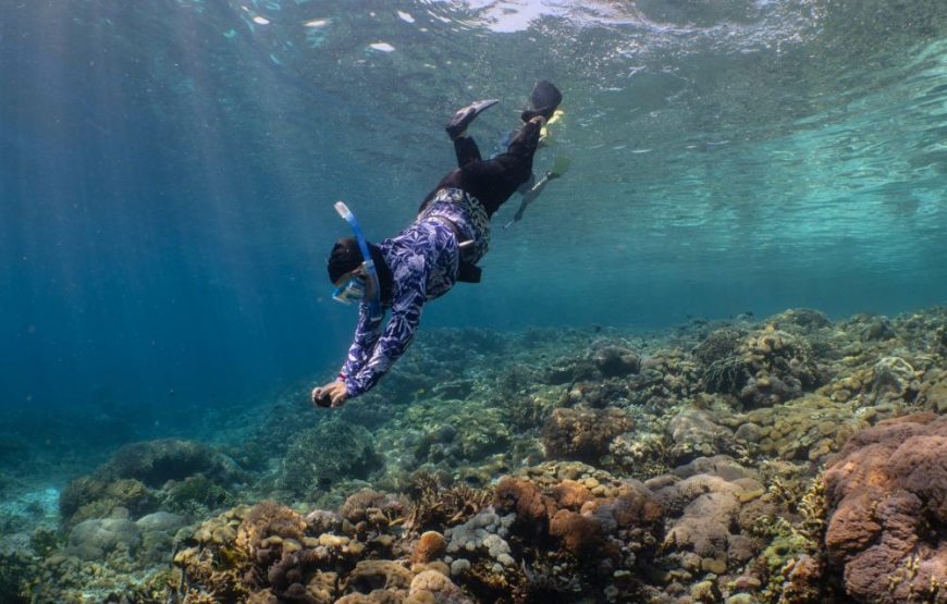 Marmaris Snorkelling Tour With Free Lunch & Equipments