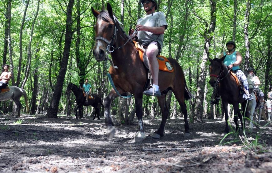 Marmaris Super Combo Tour With (Buggy Safari & Horse Riding)
