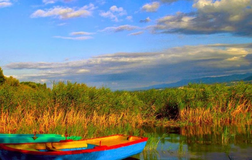 Sapanca & Masukiye Tour from Istanbul