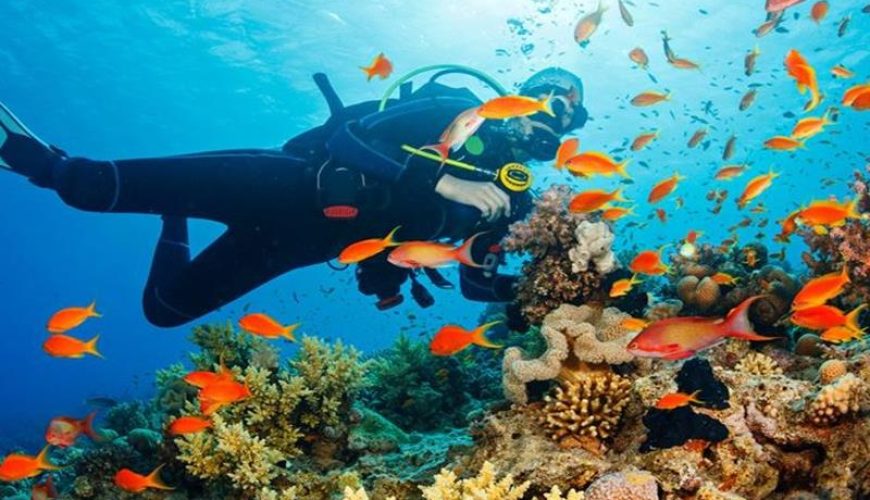 Aliway-Tour-Kusadasi-Diving-Tour-08
