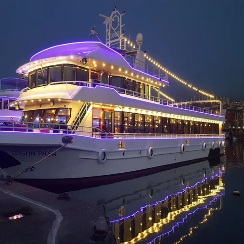 Istanbul Bosphorus Dinner Cruise