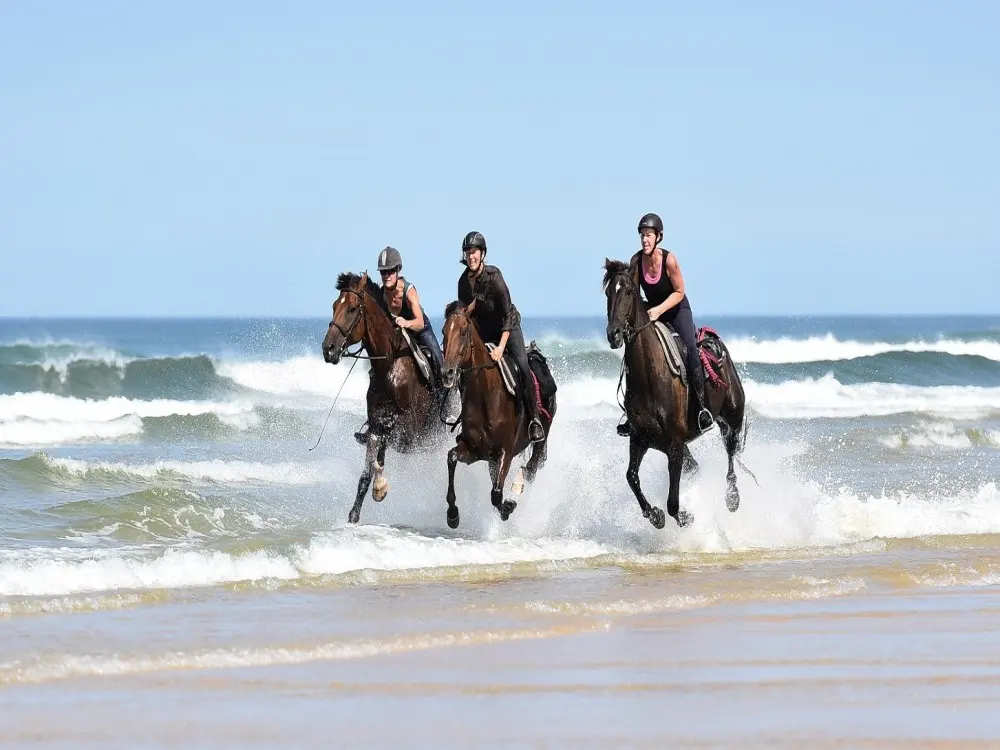 Manavgat horseback riding near Side