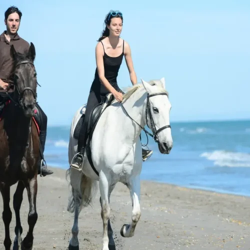 Horse riding through the forest in Manavgat