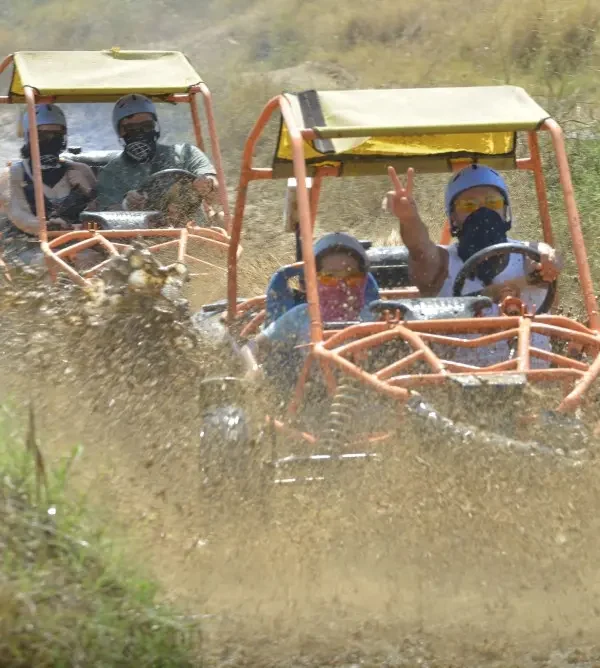 Side buggy safari