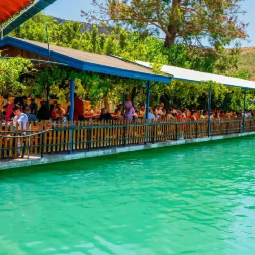 Side outdoor safari experience