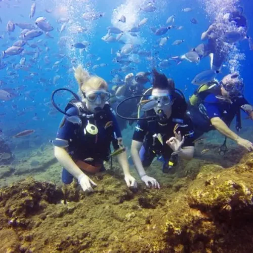 Side Scuba Diving