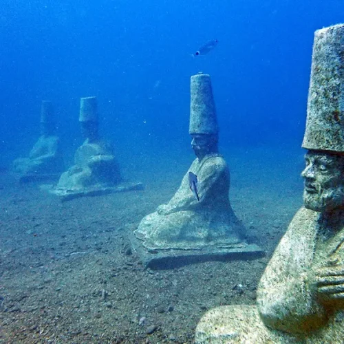 Mediterranean marine life near Side