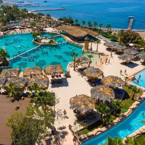 aliway-tour-side-swim-with-dolphin-and-show-with-hotel-transfer