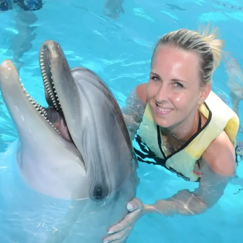 aliway-tour-side-swim-with-dolphin-and-show-with-hotel-transfer